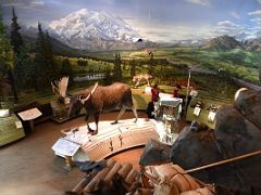 03C Display Of A Moose, Wolf, Beaver, Birds With A Landscape Behind Including Denali Mount McKinley At The Visitor Centre Just After Entrance To Denali National Park Alaska