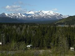 03B RV Campers In The Trees Near Cantwell With Mountains Beyond On The Drive To Mt McKinley Princess Wilderness Lodge North Of Talkeetna Alaska