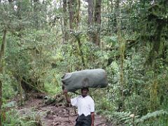 01B My Porter Cook Carries A Bag On His Head On Day 1 Of The Machame Route Climbing Mount Kilimanjaro Kili October 2000