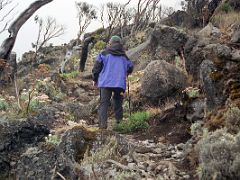 01B Jerome Ryan Hiking Between Machame Camp And Shira Hut Camp On Day 2 Of The Machame Route Climbing Mount Kilimanjaro Kili October 2000