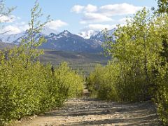 02B Mount Healy And Black Mountain Peak From Our ATV On The Trails On The Black Diamond ATV Adventure At Healy Near Denali National Park Alaska