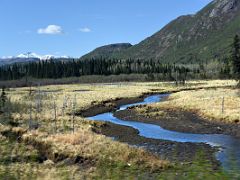 03A A Small Stream Flows Near Cantwell On The Drive To Mt McKinley Princess Wilderness Lodge North Of Talkeetna Alaska