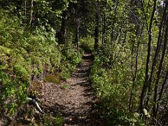 03A The Lakeside Trail At Byers Lake In Denali State Park Alaska
