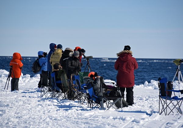 Floe Edge Day 1