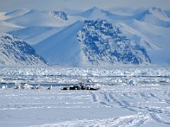13B A Narwhal Whale Carcass Next To The Floe Edge As We Head Back To Camp At The End Of Day 1 On Floe Edge Adventure Nunavut Canada