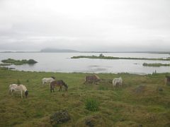 Iceland 06 07 Myvatn Lake From Hotel Reykjahlid