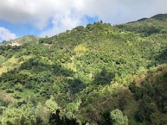 06B The road keeps going up and up past the green forest covered hills on our way to Blue Mountains near Kingston Jamaica