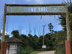 07 We arrive at Holywell National Park at about 1230m after an hour drive from Kingston Blue Mountains near Kingston Jamaica