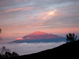 Machame Camp