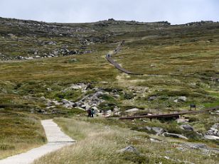 Hike To Kosciuszko Lookout