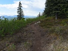 04A Mountains Come Into View As We Hike Up The Curry Ridge Trail In Denali State Park Alaska