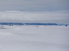 10A A Polar Bear And Her Cub On Day 4 Of Floe Edge Adventure Nunavut Canada
