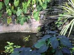 07E We walked around the grounds admiring the small fountain, vines, plants at Strawberry Hill Resort near Kingston Jamaica