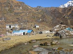 Kangchenjunga 05 01 Sele La Camp We trekked back to Kambachen one day and then the next day to Ghunsa and up to Sele La. Sele La camp (4290m) is situated in an idyllic setting with a few&hellip;